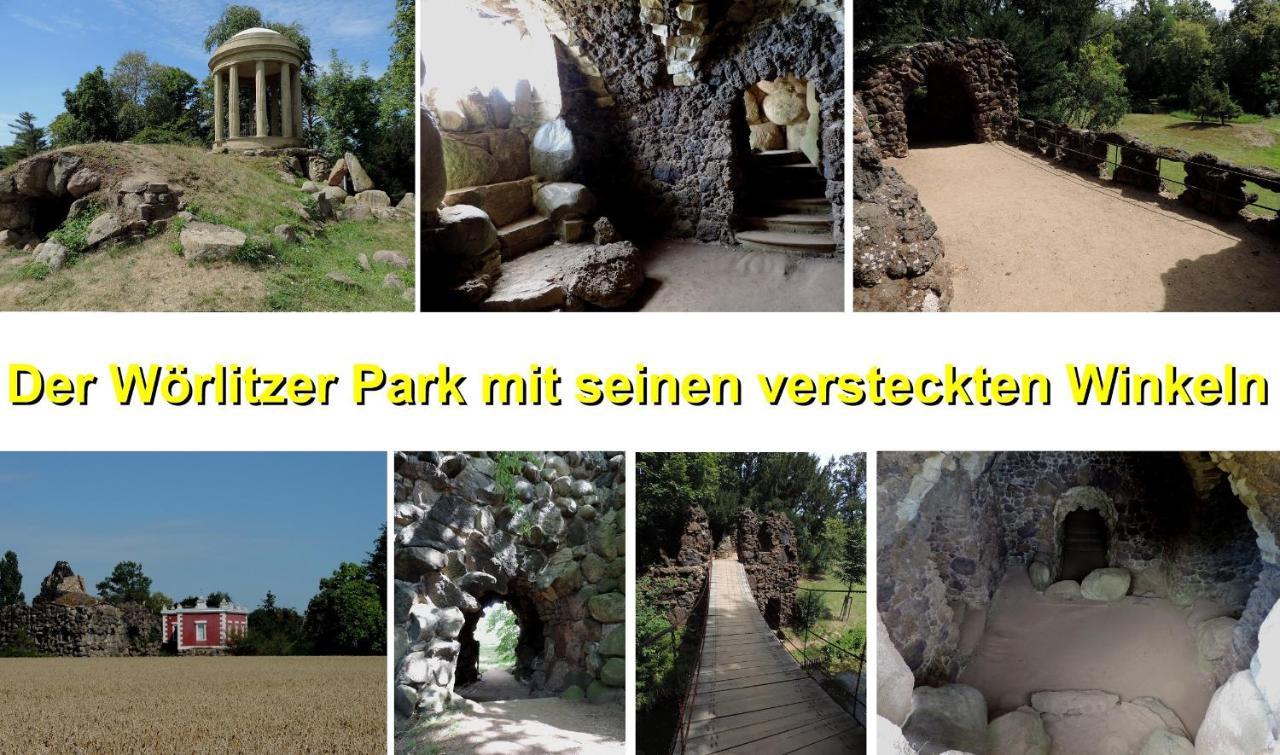 Die Ferienwohnung - Wittenberg An Den Elbwiesen Exteriér fotografie