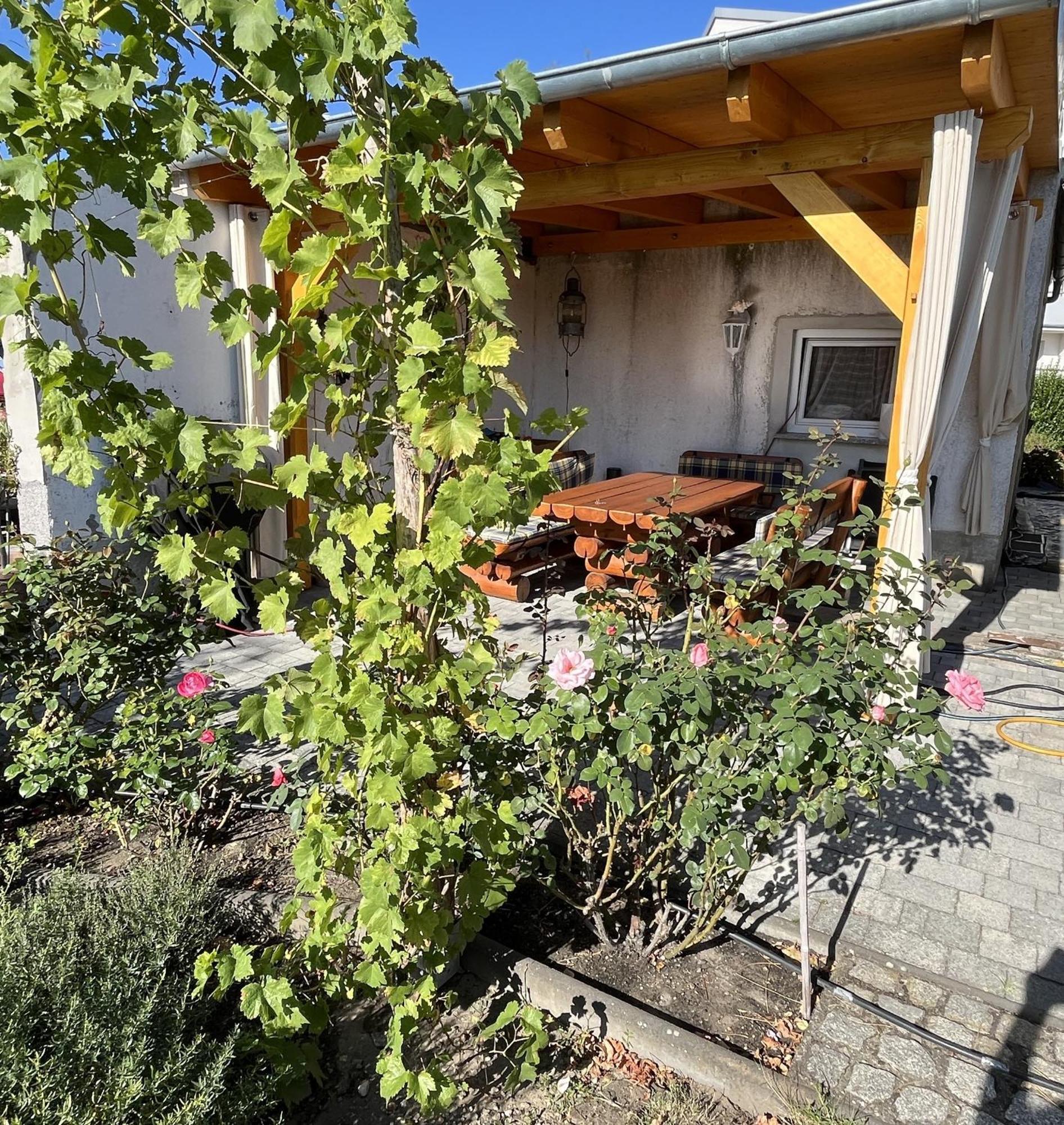 Die Ferienwohnung - Wittenberg An Den Elbwiesen Exteriér fotografie