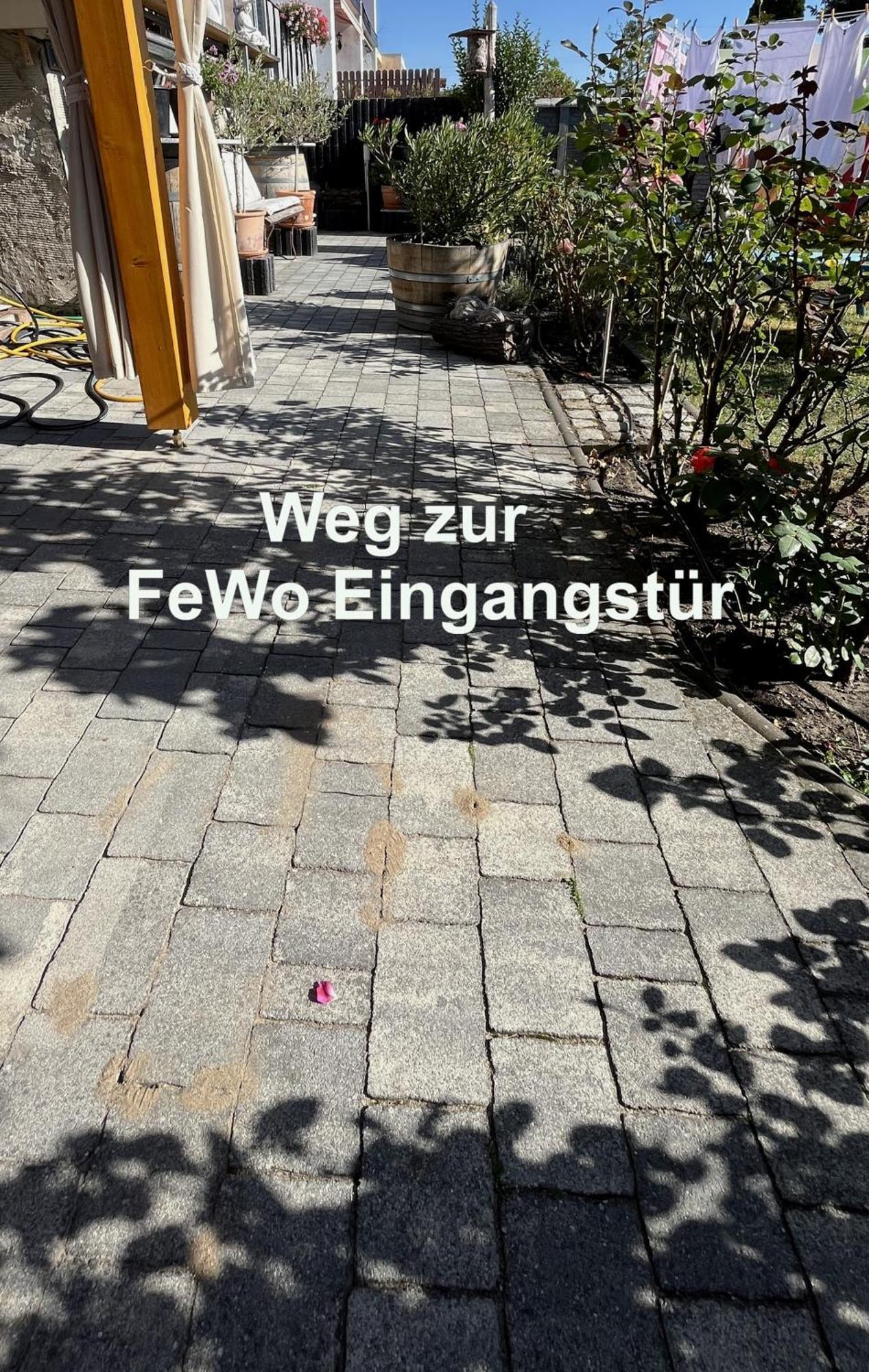 Die Ferienwohnung - Wittenberg An Den Elbwiesen Exteriér fotografie